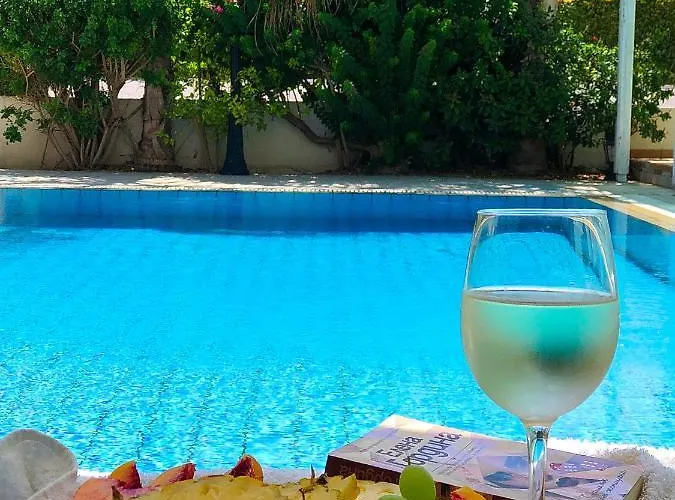 Elena * プロタラス